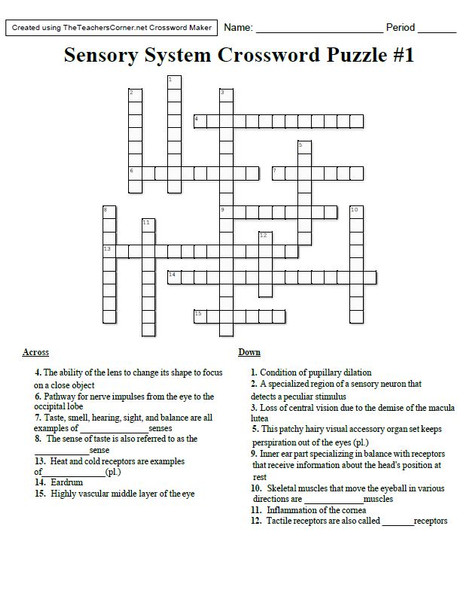 Sensory System Crossword Puzzle Bundle - Four Total!