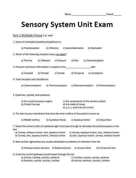 Sensory System Unit Exam