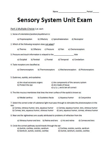 Sensory System Unit Exam