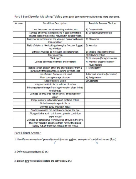 Sensory System Unit Exam