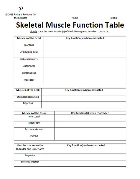 Skeletal Muscle Function Table Activity Set