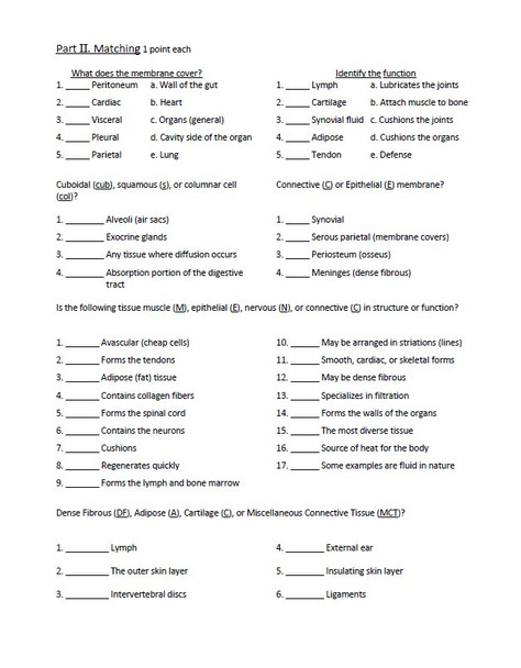 Tissues and Membranes Unit Exam Set (A & B)