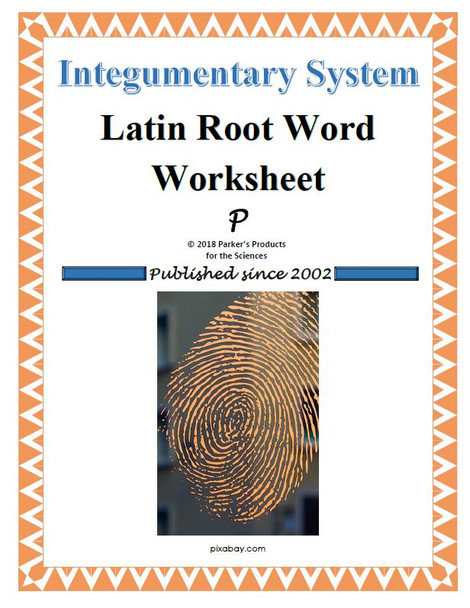 Latin Root Word Conversion Worksheet Bundle of Medical Terms for Human Anatomy & Physiology (30% Savings!)