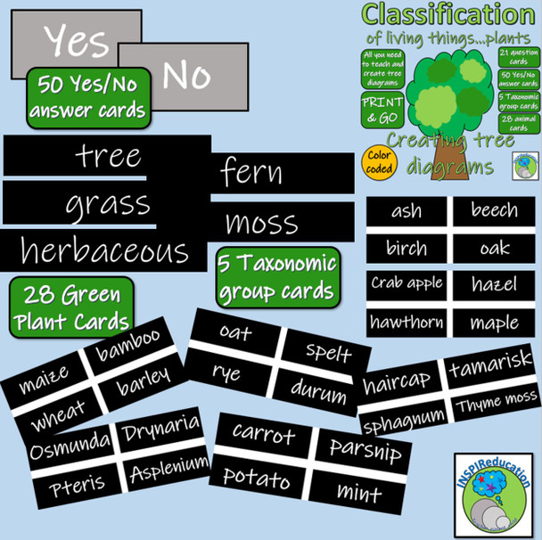 Classification of Green Plants - Decision Trees (Yes/No) Questions - Branch diagrams