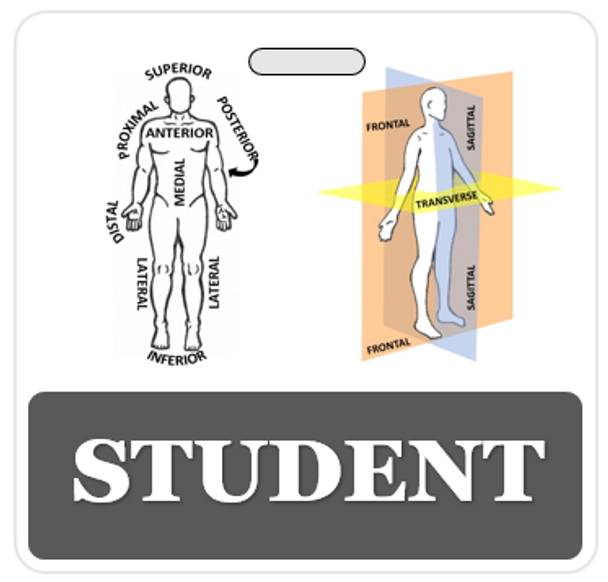 Badge Buddies- Great for Clinical Internship Students