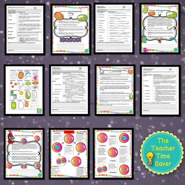 Cells Unit Notebook Bundle, Life Science Curriculum