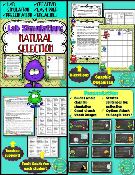 Evolution and Natural Selection Notebook Printable Bundle