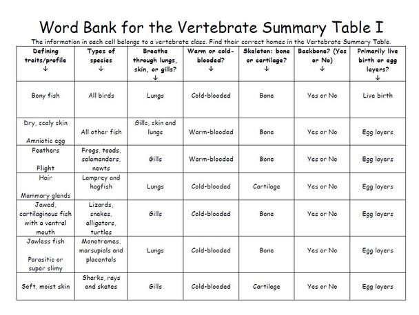 Vertebrate Class Summary Table Set