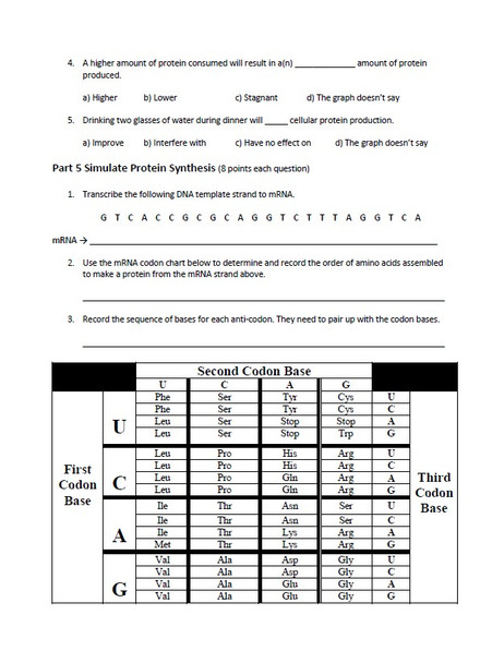 Protein Synthesis Test 