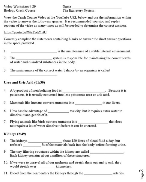 Crash Course Biology Video Worksheet 29: The Excretory System