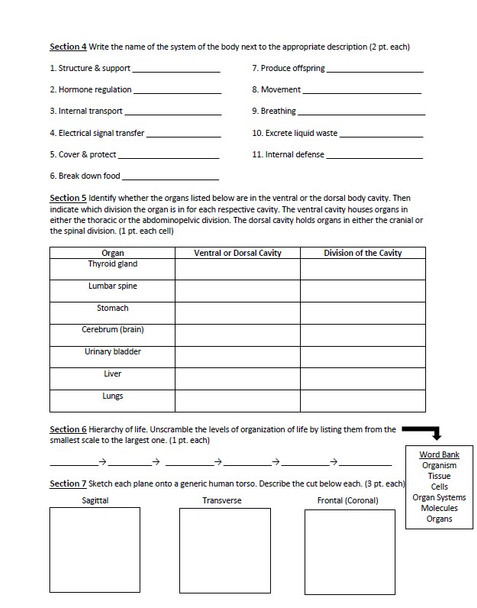 Human Anatomy & Physiology Unit 1 Exam