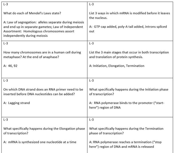 Greed!! (AP Biology Review Game #3) Molecular & Mendelian Genetics