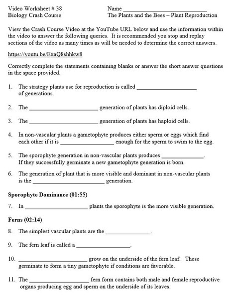 Crash Course Biology Video Worksheet 38: The Plants and the Bees – Plant Reproduction
