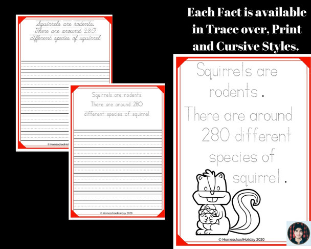 Squirrel Themed Copywork Handwriting practice