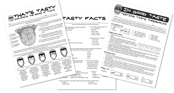 That's Tasty- Exploring the Science of Taste! Worksheets and Lab included!