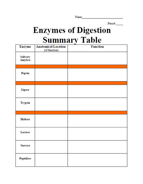 Enzymes of Digestion and Cellular Respiration Summary Table