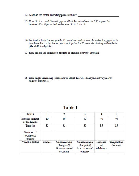 Factors that Affect the Rate of Enzyme Activity Lab using Toothpicks