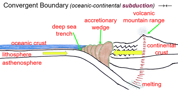 NGSS: Sandwich Cookie Plate Tectonics Activity