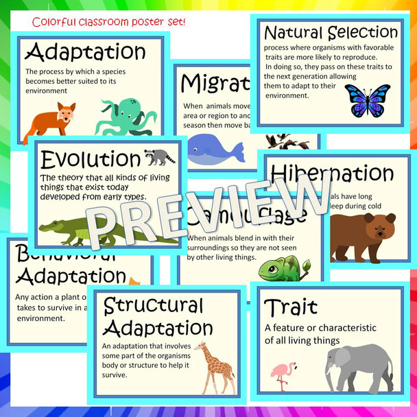 Natural Selection and Adaptation Complete Unit