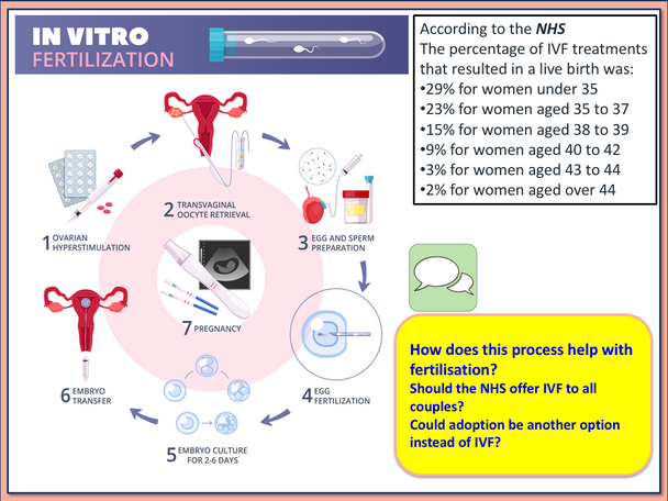 Fertility and What impacts it 