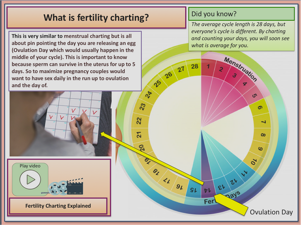 Menstrual Charting 