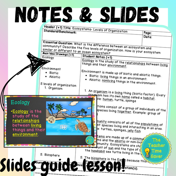 Science Mega Bundle | Earth Space Biology Physical Science | Printable and Digital