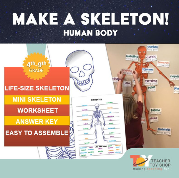 Make A Skeleton!