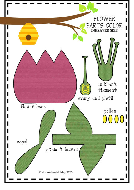 printable patterns in color and  color your own