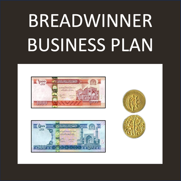 The Breadwinner - Novel Study