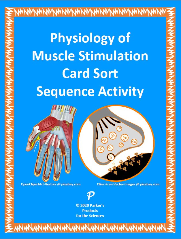 Physiology Of A Muscle Stimulation Card Sort Sequence Activity Amped 