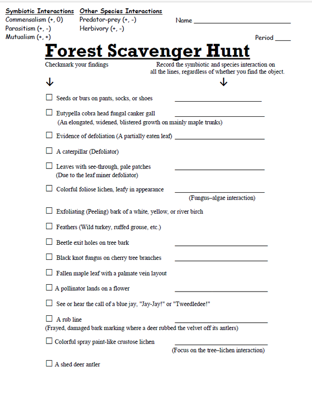 Forest Scavenger Hunt - Amped Up Learning