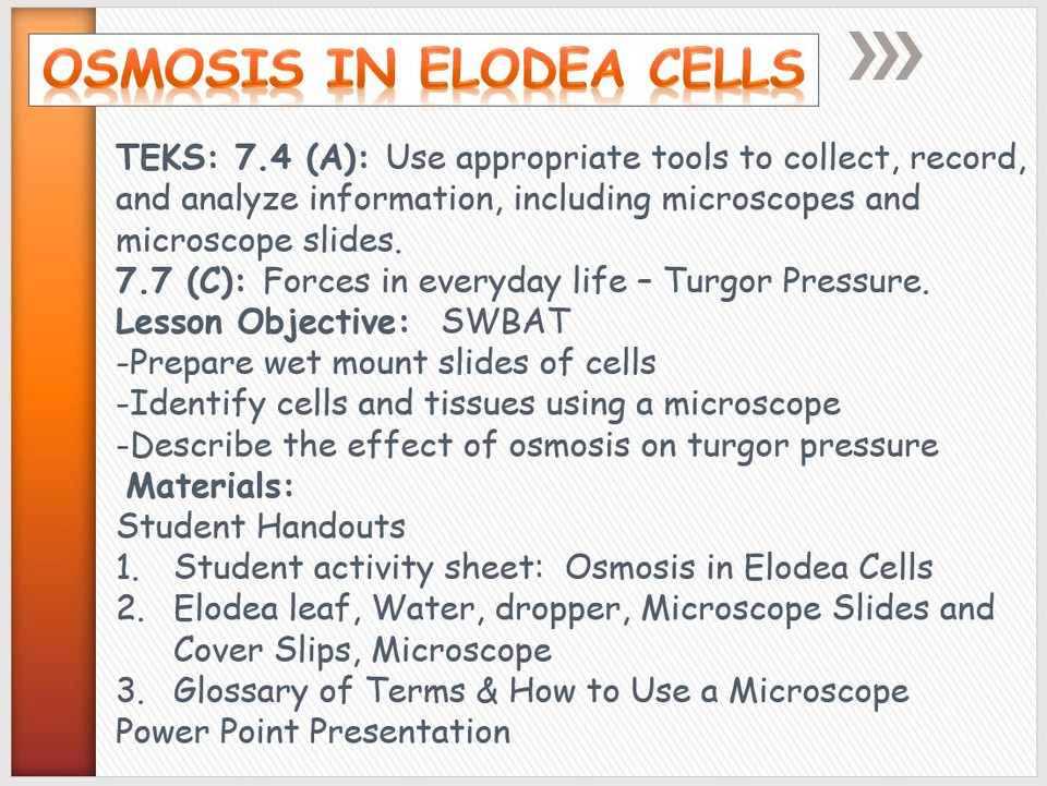 Osmosis in Elodea Cells Amped Up Learning