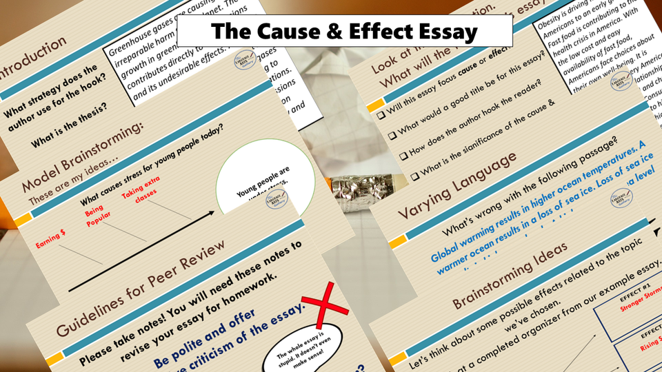 The Complete Cause and Effect Essay Bundle