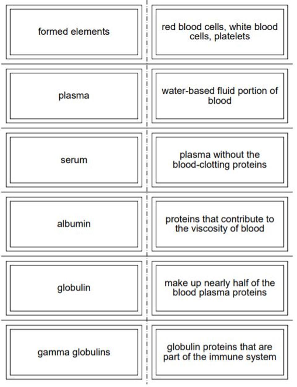 Blood Flash Cards for Honors Anatomy Amped Up Learning