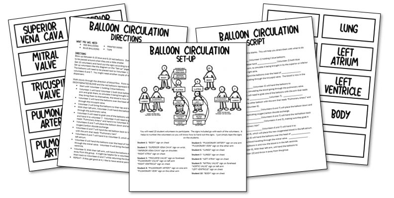 balloon-circulation-preview.jpg