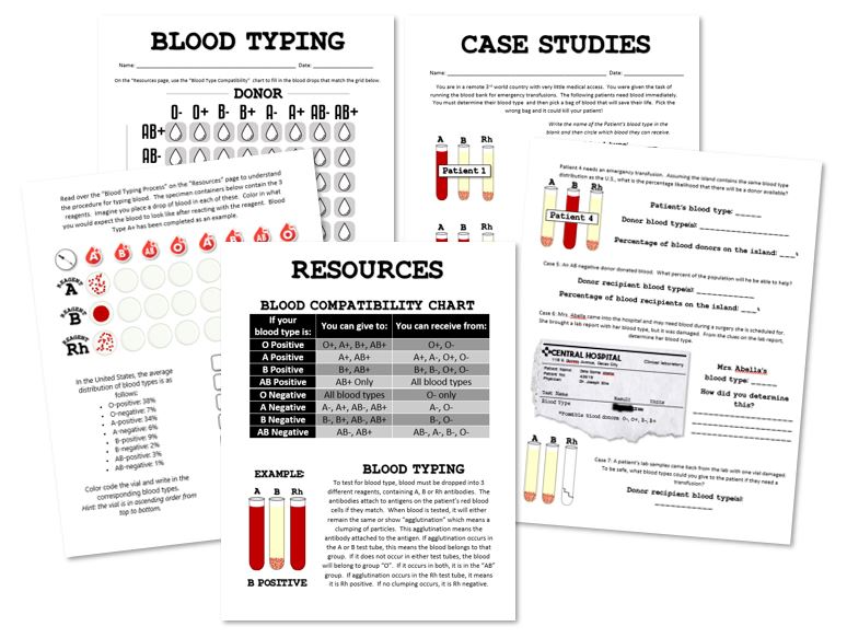 Blood Typing Game Answers