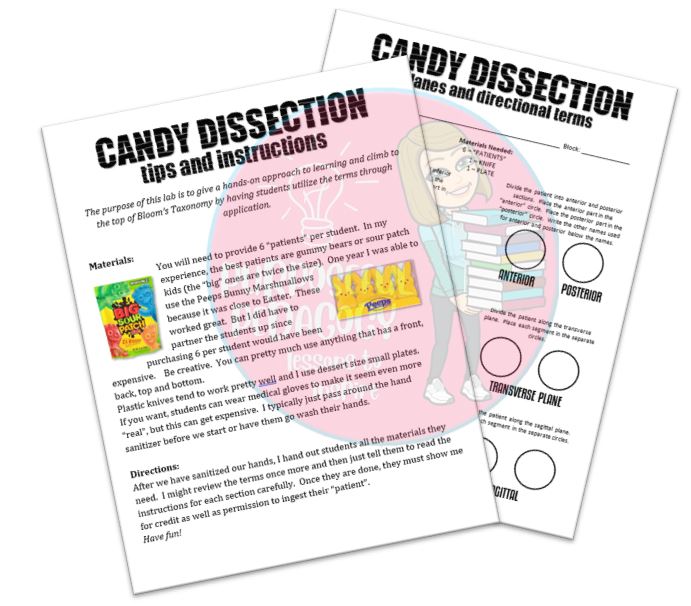 candy-disection-lab-thumbnail.jpg