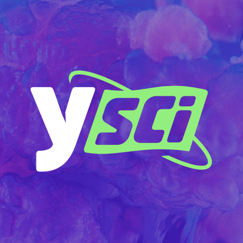 image-logo-ysci.jpg