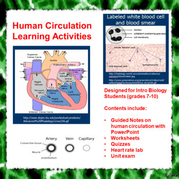 Human Circulation Learning Activities (Distance Learning)