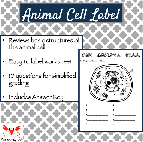 The Animal Cell Label Amped Up Learning Updated Square 99346.1603845901.500.750