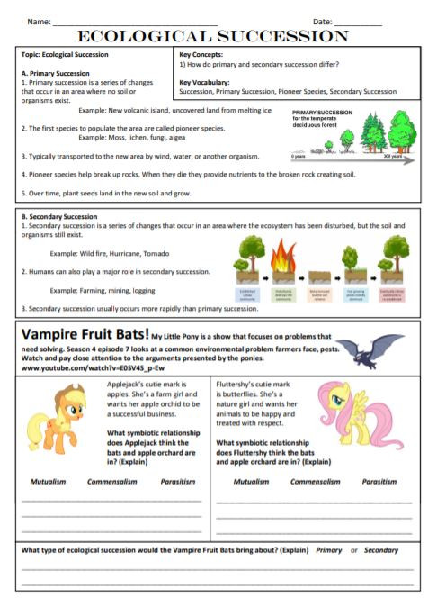 primary and secondary succession worksheet