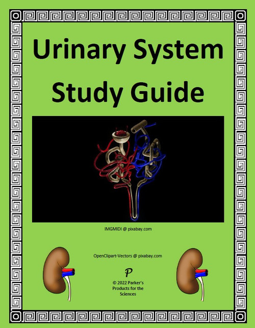 Draw a neat labeled diagram of the urinary system and explain the formation  of urine.