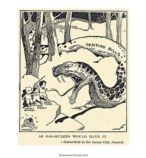 Alien And Sedition Act Of 1798 Simulation