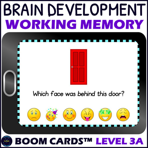 Working Memory Activity level 3a – Digital Boom™ Cards