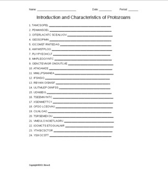 The Protozoans Word Scramble for Invertebrate Biology - Amped Up Learning