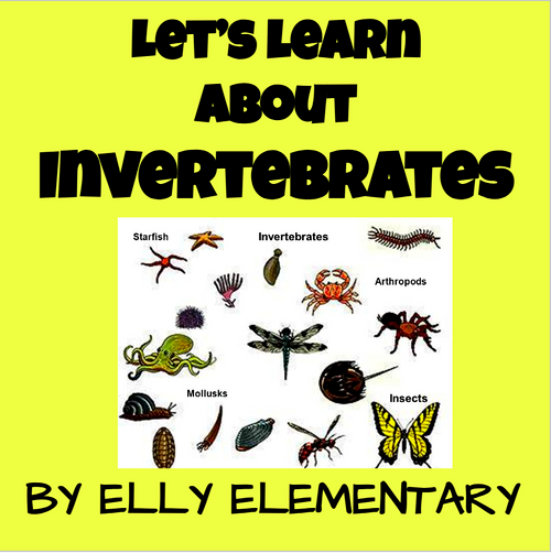 INVERTEBRATES: ANIMAL UNIT STUDY: READING/WRITING/RESEARCH: 3RD/4TH ...