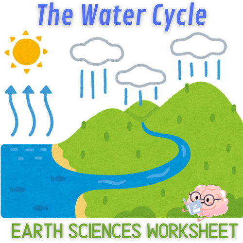 The Water Cycle Craft Vocabulary - Earth Sciences Worksheet