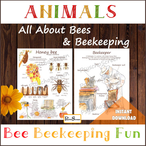 All About Bees: Anatomy, Life Cycle, Honeycomb & Beekeeping Tools