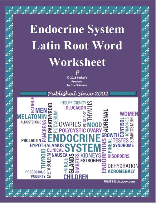 Endocrine System Unit Latin Root Word Worksheet Amped Up Learning