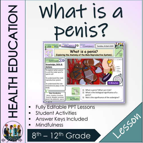 Male Anatomy Body Confidence - Amped Up Learning